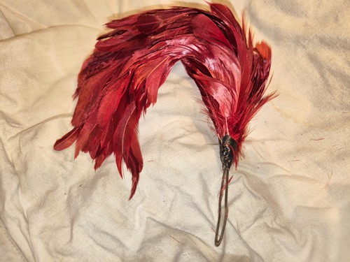 Plumet coq rouge - , retombant
