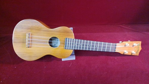 Famous ukulele 3 - famous,