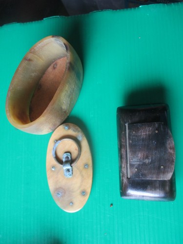 Corne bovin lot de - corne,