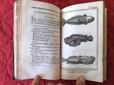 BUFFON LACEPEDE Histoire