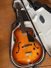 Guitare acoustique complète