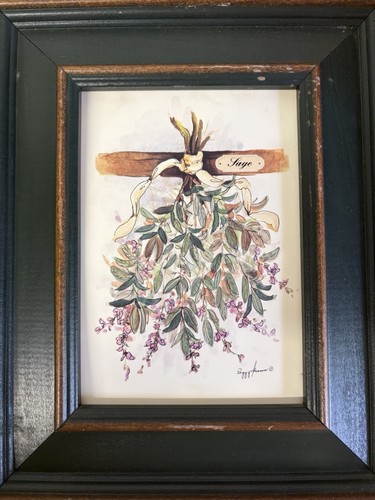 Peggy abrams sage - peggy,