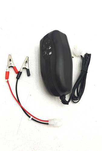 Chargeur batterie autoportée