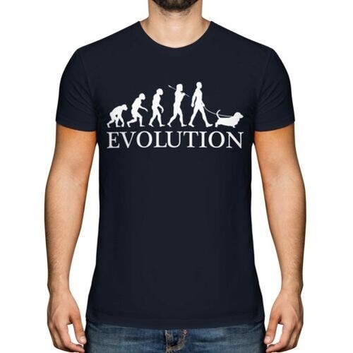 Basset hound evolution - hound,