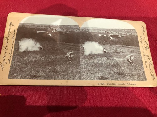 Photo stéréo ancienne chasse