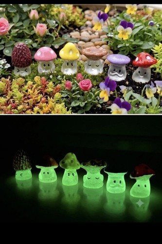 Lot mini champignons - 6,
