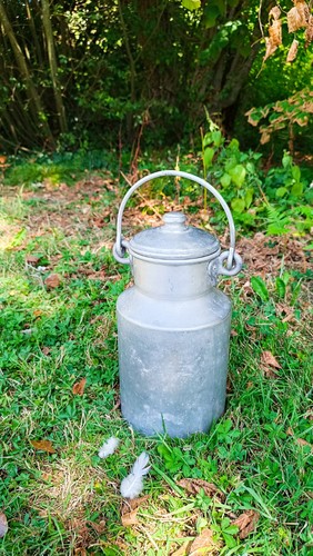 Pot lait ancien - pot,