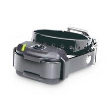 Collier supplémentaire