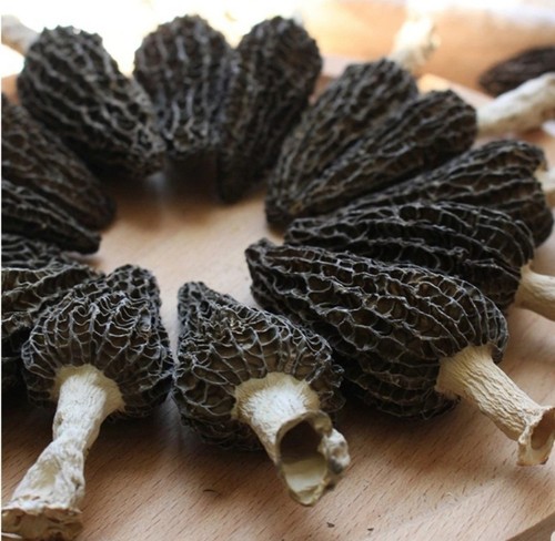 Rare pack black morel - rare!,