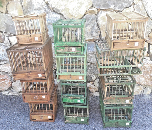 Cages oiseaux anciennes - oiseaux, en