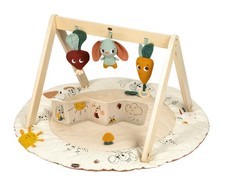 Tiny Love Luxe Developmental