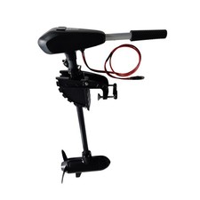 Moteur électrique pour bateau