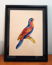 Lot 3 - Lori Perruche - Gouache sur Papier Encadrée - Signée Cardenac - XXth