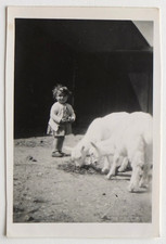 Girl White Goats Farm Cute Animals - Old Photo Snapshot