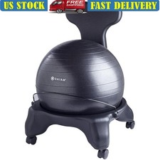 Ergonomic Balance Ball Chair
