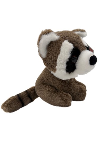 Plush raccoon cute little - , bear