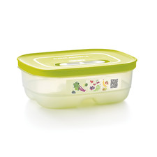 TUPPERWARE Boite conservation hermétique cuisine aliments 800 ml Ventilo frais