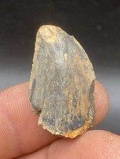 1.34'' / 3,4 cm good size