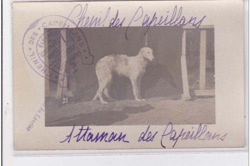 Cyprien carte photo - st-cyprien,