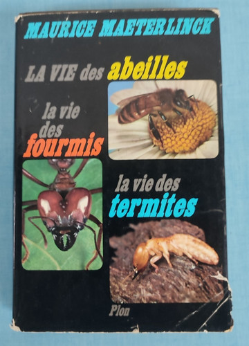 Vie des abeilles - vie, fourmis
