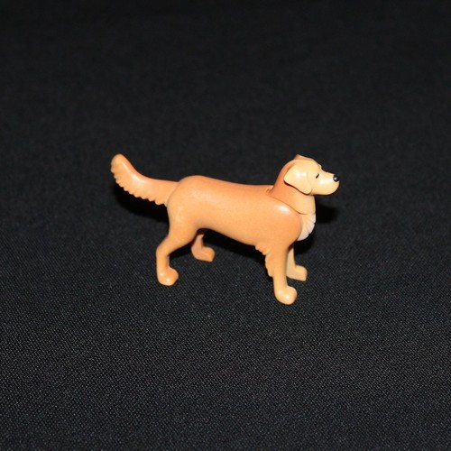 Playmobil chien golden - playmobil,