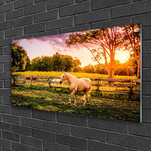 Tableau sur verre image - sur,