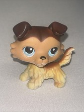 C1 HASBRO  LPS  ORIGINAL
