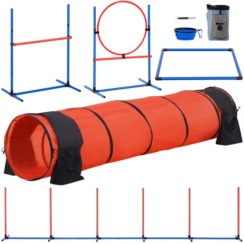 Dog agility training - agility, set