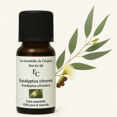 Huile essentielle eucalyptus - essentielle, d'eucalyptus