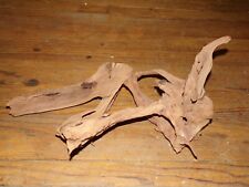 Bois Flotté Décoration pour