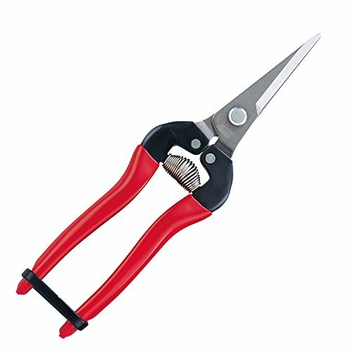 élagueur inox ars nez - nez, long