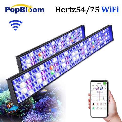 Popbloom reef aquarium - reef,