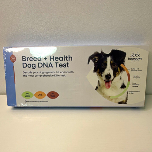 Basepaws breed health - breed,