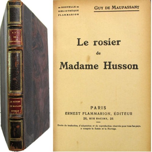 Rosier madame husson - madame,