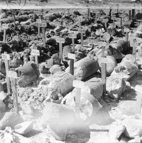 Vulcano 1960 carottes - 1960,