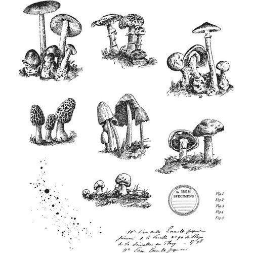 New tim holtz - new,