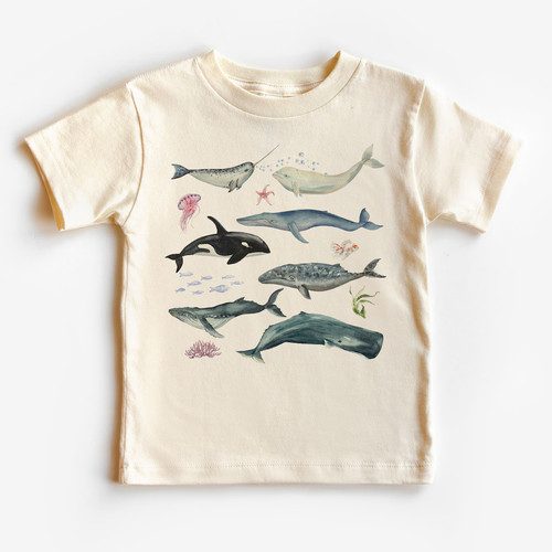 Whale species field guide - species,