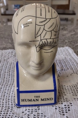 Phrenology head bust - phrenology,
