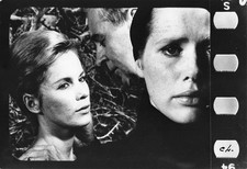 INGMAR BERGMAN persona photo