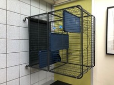 Cage rongeurs en bon état
