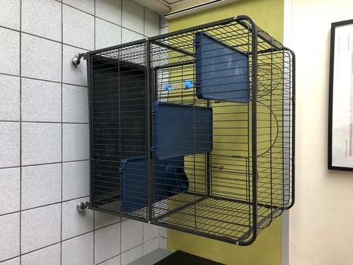 Cage rongeurs bon - cage,