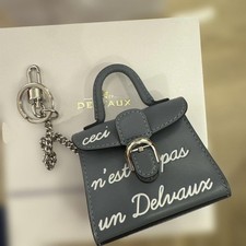 Delvaux Brillant Charm C