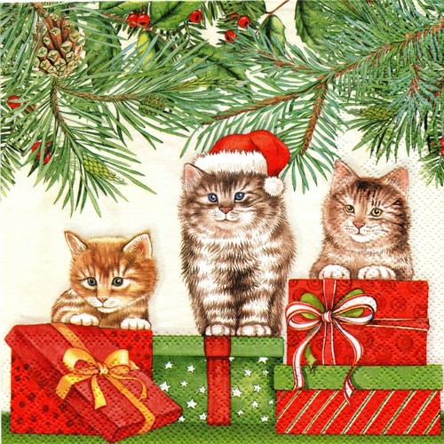 Serviettes papier chat - serviettes,
