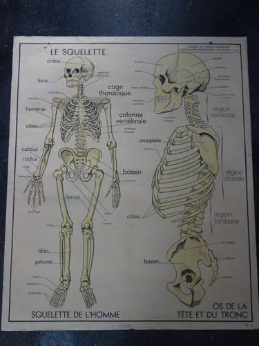 Ancienne affiche scolaire - ancienne,