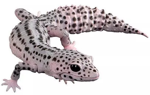 Mini figurine leopard gecko - figurine,