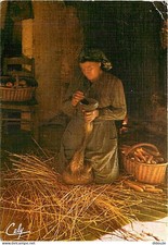 Carte Postale - Animaux -