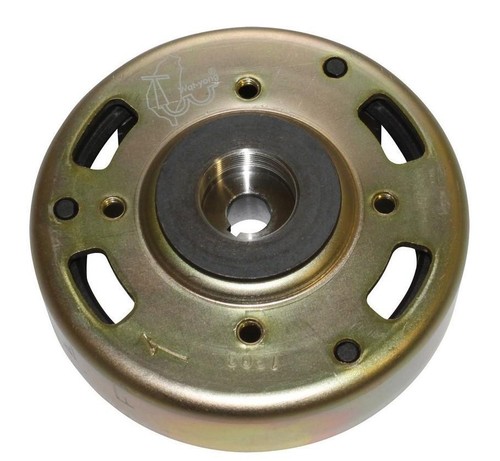 Rotor allumage scooter