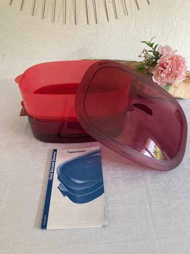 525 cuiseur vapeur ovale - cuiseur,