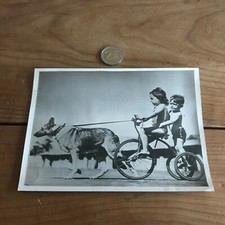 old photograph bicycle N77 press dog hitch tricycle 