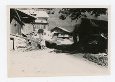 PHOTO SNAPSHOT, Tyrol Tirol